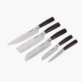 SEIDO Japanese Master Chef Knife Set, 5-Pieces