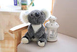 Lewis The Koala Plush