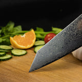 Kiritsuke Damascus Chef Knife