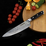 Shujin Gyuto Damascus Knife