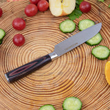 Master Chef Knife Set + Roll-up Knife Bag