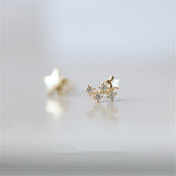 Sterling Silver Shooting star earrings