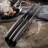 Torio Butcher Knife Set