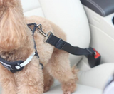 Adjustable Car Safety Belt