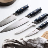 Kanpeki Damascus Knife Set