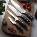 Kanpeki Damascus Knife Set