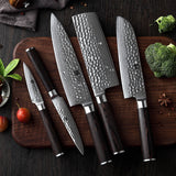 Ganjo VG10 Damascus Knife Set (5-piece)